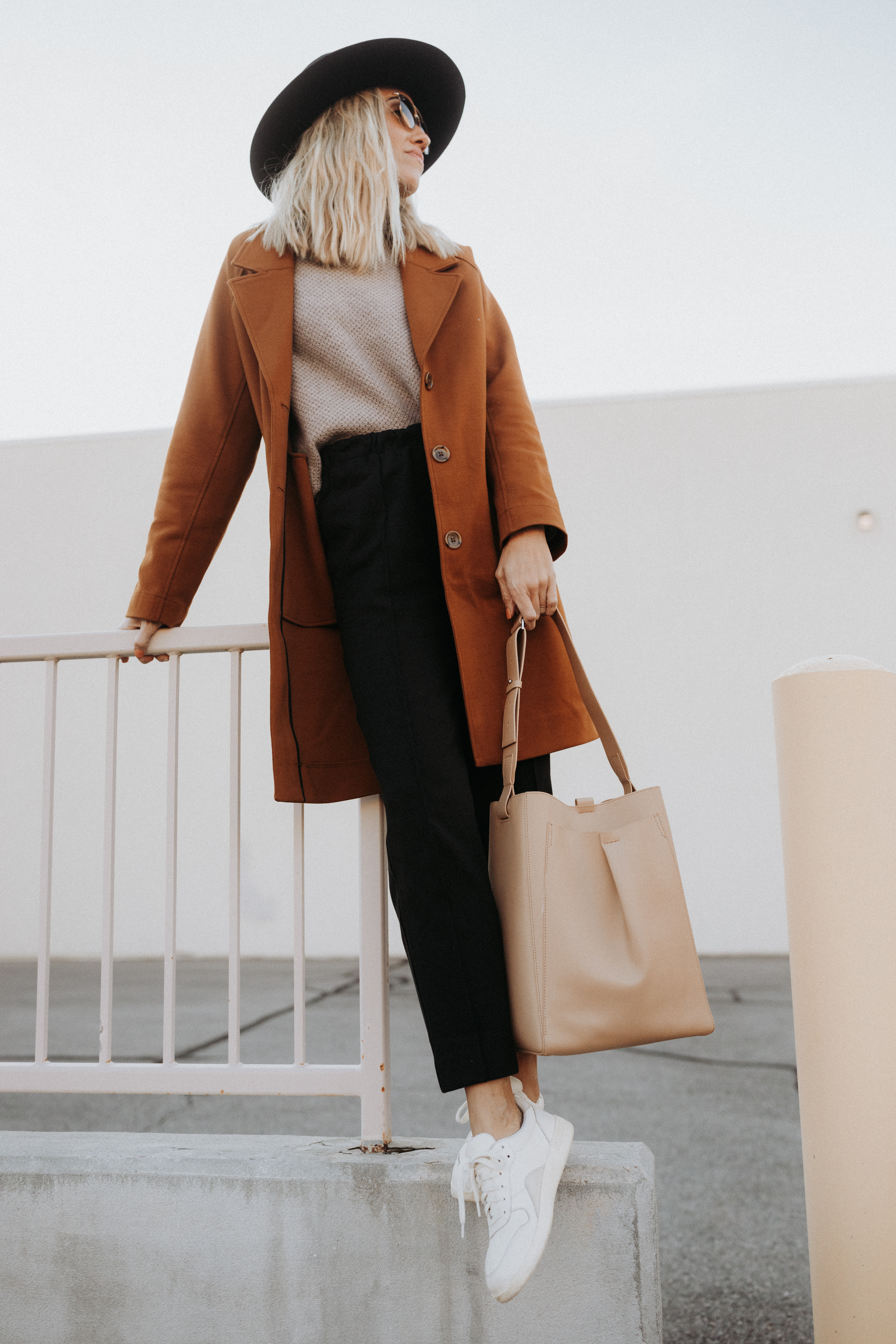 Everlane Brown Coat